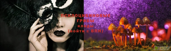 винт Осташков