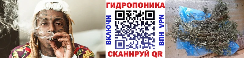 цена   Отрадное  Каннабис конопля 